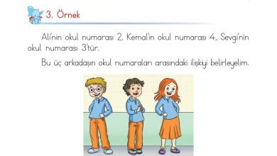 1. Sınıf Matematik Açılım Yayınları Sayfa 38 Cevapları