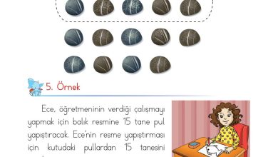 1. Sınıf Matematik Açılım Yayınları Sayfa 39 Cevapları