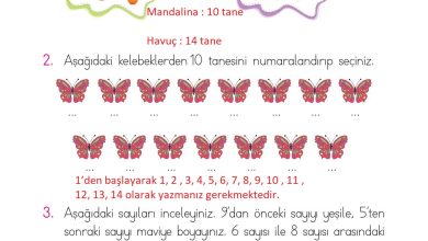 1. Sınıf Matematik Açılım Yayınları Sayfa 40 Cevapları