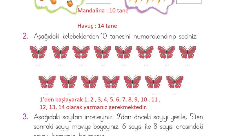 1. Sınıf Matematik Açılım Yayınları Sayfa 40 Cevapları