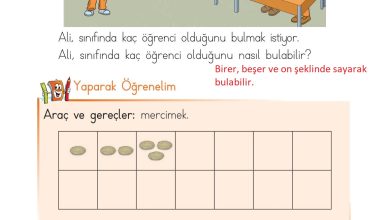 1. Sınıf Matematik Açılım Yayınları Sayfa 41 Cevapları