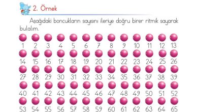 1. Sınıf Matematik Açılım Yayınları Sayfa 43 Cevapları