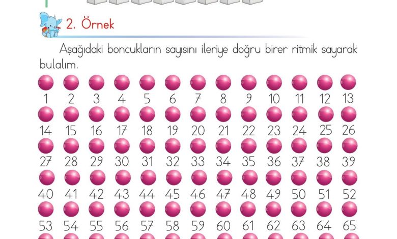 1. Sınıf Matematik Açılım Yayınları Sayfa 43 Cevapları