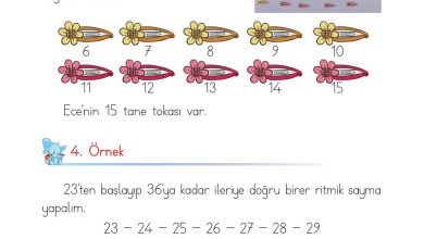 1. Sınıf Matematik Açılım Yayınları Sayfa 44 Cevapları