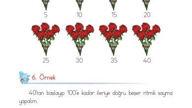 1. Sınıf Matematik Açılım Yayınları Sayfa 45 Cevapları