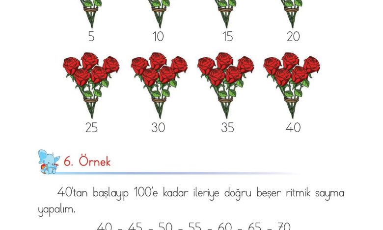 1. Sınıf Matematik Açılım Yayınları Sayfa 45 Cevapları