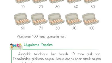 1. Sınıf Matematik Açılım Yayınları Sayfa 46 Cevapları