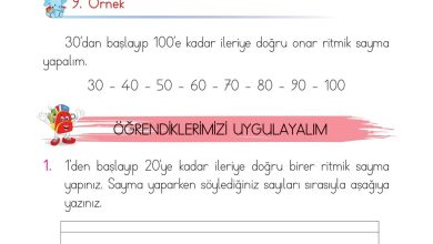 1. Sınıf Matematik Açılım Yayınları Sayfa 47 Cevapları