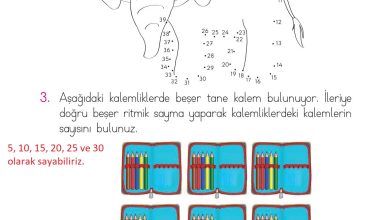 1. Sınıf Matematik Açılım Yayınları Sayfa 48 Cevapları