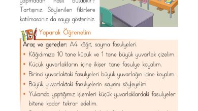 1. Sınıf Matematik Açılım Yayınları Sayfa 49 Cevapları