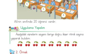 1. Sınıf Matematik Açılım Yayınları Sayfa 50 Cevapları