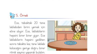 1. Sınıf Matematik Açılım Yayınları Sayfa 52 Cevapları