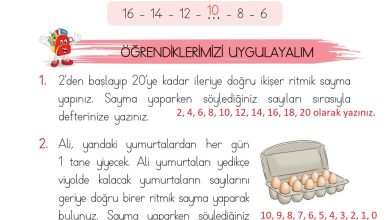 1. Sınıf Matematik Açılım Yayınları Sayfa 54 Cevapları