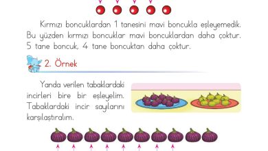 1. Sınıf Matematik Açılım Yayınları Sayfa 56 Cevapları