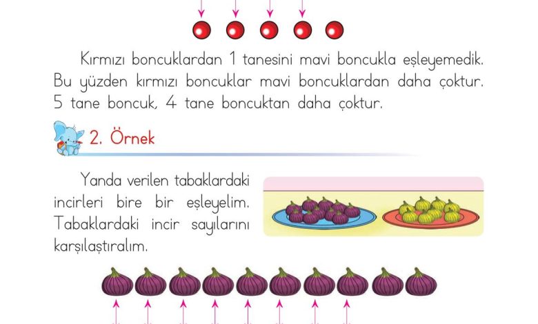 1. Sınıf Matematik Açılım Yayınları Sayfa 56 Cevapları