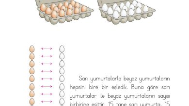 1. Sınıf Matematik Açılım Yayınları Sayfa 57 Cevapları