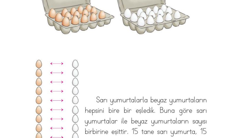 1. Sınıf Matematik Açılım Yayınları Sayfa 57 Cevapları