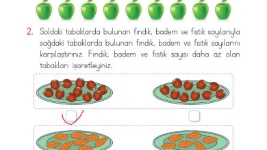 1. Sınıf Matematik Açılım Yayınları Sayfa 58 Cevapları