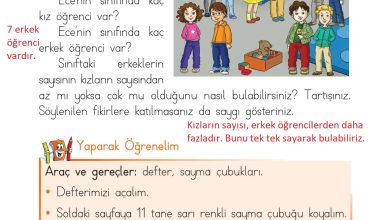 1. Sınıf Matematik Açılım Yayınları Sayfa 59 Cevapları