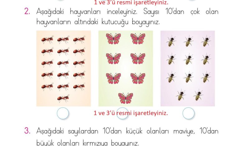 1. Sınıf Matematik Açılım Yayınları Sayfa 62 Cevapları