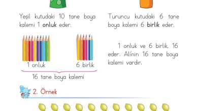 1. Sınıf Matematik Açılım Yayınları Sayfa 64 Cevapları