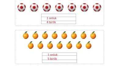 1. Sınıf Matematik Açılım Yayınları Sayfa 65 Cevapları