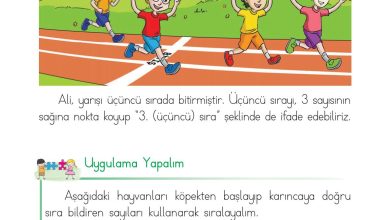 1. Sınıf Matematik Açılım Yayınları Sayfa 67 Cevapları