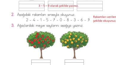 1. Sınıf Matematik Açılım Yayınları Sayfa 70 Cevapları