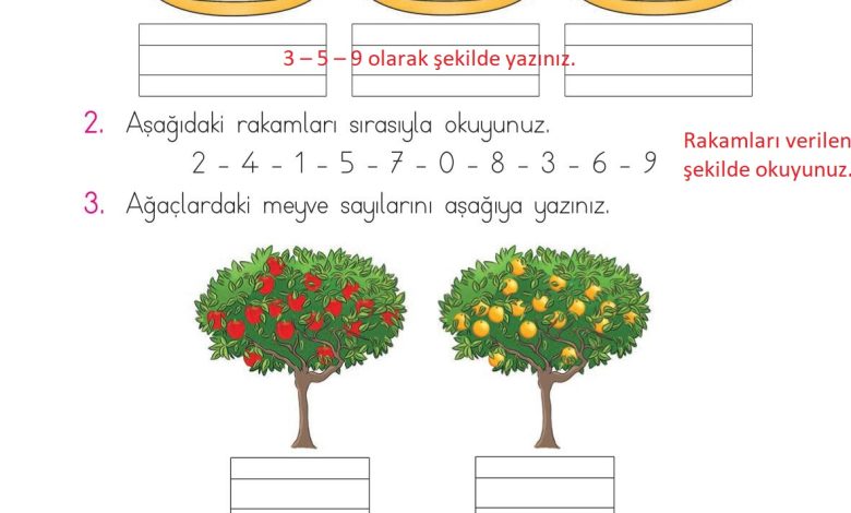 1. Sınıf Matematik Açılım Yayınları Sayfa 70 Cevapları