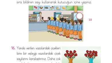 1. Sınıf Matematik Açılım Yayınları Sayfa 74 Cevapları