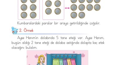 1. Sınıf Matematik Açılım Yayınları Sayfa 77 Cevapları