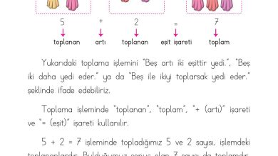 1. Sınıf Matematik Açılım Yayınları Sayfa 78 Cevapları