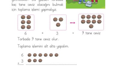 1. Sınıf Matematik Açılım Yayınları Sayfa 79 Cevapları