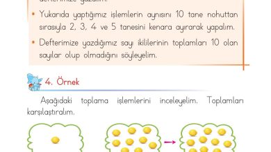 1. Sınıf Matematik Açılım Yayınları Sayfa 80 Cevapları