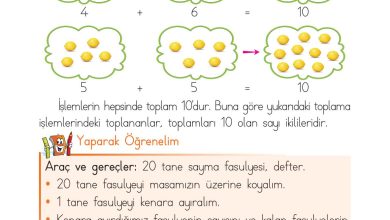 1. Sınıf Matematik Açılım Yayınları Sayfa 81 Cevapları