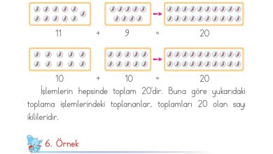 1. Sınıf Matematik Açılım Yayınları Sayfa 83 Cevapları