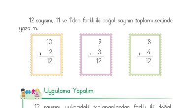 1. Sınıf Matematik Açılım Yayınları Sayfa 84 Cevapları