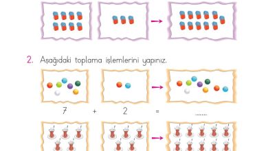 1. Sınıf Matematik Açılım Yayınları Sayfa 85 Cevapları