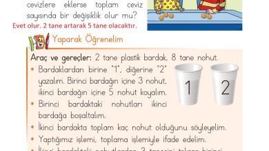 1. Sınıf Matematik Açılım Yayınları Sayfa 88 Cevapları