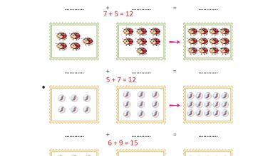 1. Sınıf Matematik Açılım Yayınları Sayfa 91 Cevapları