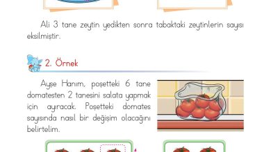 1. Sınıf Matematik Açılım Yayınları Sayfa 93 Cevapları