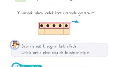 1. Sınıf Matematik MHG Yayınları Sayfa 101 Cevapları