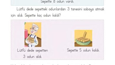 1. Sınıf Matematik MHG Yayınları Sayfa 102 Cevapları