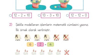 1. Sınıf Matematik MHG Yayınları Sayfa 103 Cevapları