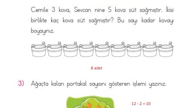 1. Sınıf Matematik MHG Yayınları Sayfa 105 Cevapları