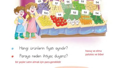 1. Sınıf Matematik MHG Yayınları Sayfa 108 Cevapları