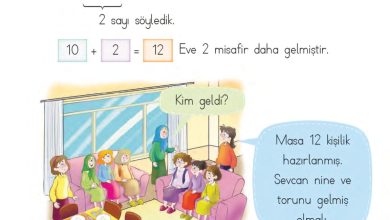 1. Sınıf Matematik MHG Yayınları Sayfa 113 Cevapları