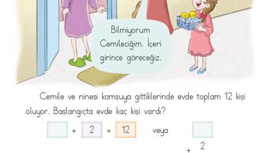 1. Sınıf Matematik MHG Yayınları Sayfa 114 Cevapları