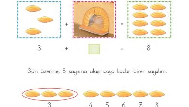 1. Sınıf Matematik MHG Yayınları Sayfa 116 Cevapları