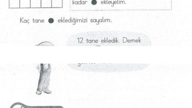 1. Sınıf Matematik MHG Yayınları Sayfa 120 Cevapları